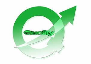 爱游戏入口-德甲防守战术调整对中场控制力的影响分析，德甲中场球员