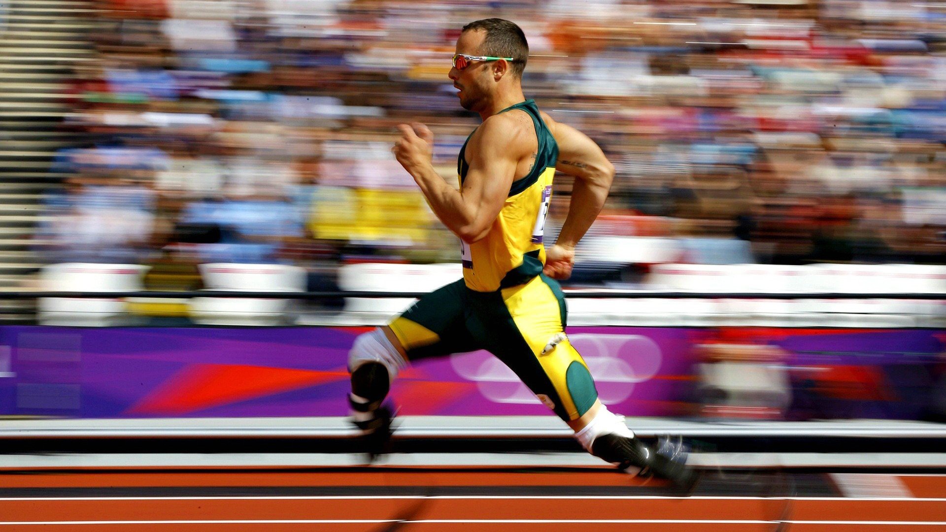 生态体育：绿色、低碳的未来足球场景，什么是生态体育